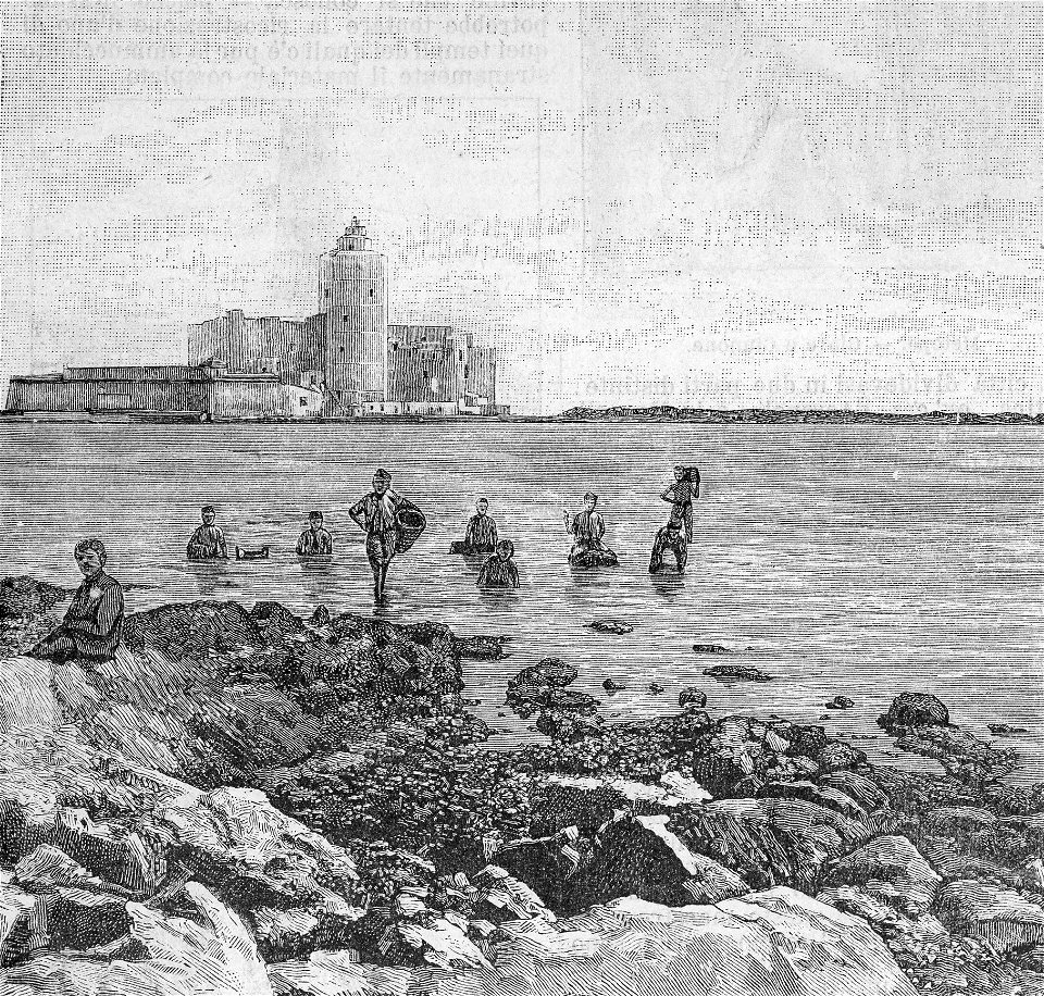 Il faro alla Colombaia (xilografia)