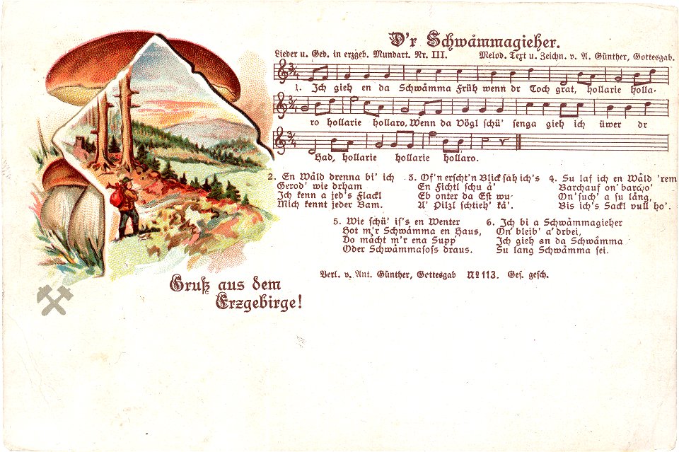 III - D'r Schwammagieher (1902)