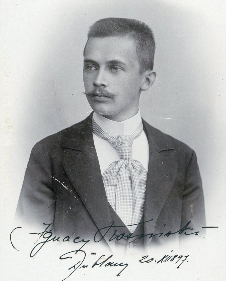 Ignacy Kosiński cropped