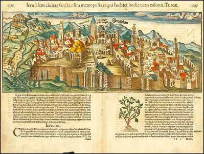 Ierusalem, ciuitas sancta, olim metropolis regni Iudaici, hodie euro colonia Turcae
