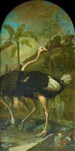 Ignaz Heinitz von Heinzenthal - Ein Straußenpaar, im Hintergrund ein Sarkophag - 5634 - Kunsthistorisches Museum