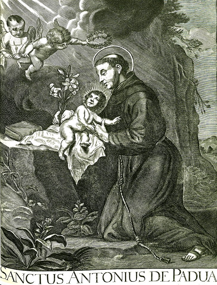 Iconotheca Valvasoriana 25