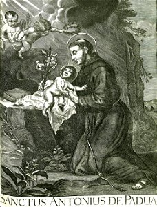 Iconotheca Valvasoriana 25