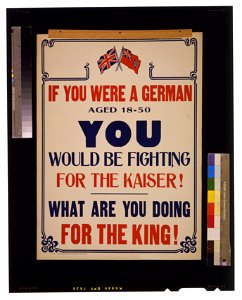 If you were a German aged 18-50 you would be fighting for the Kaiser! What are you doing for the King! LCCN2005691292