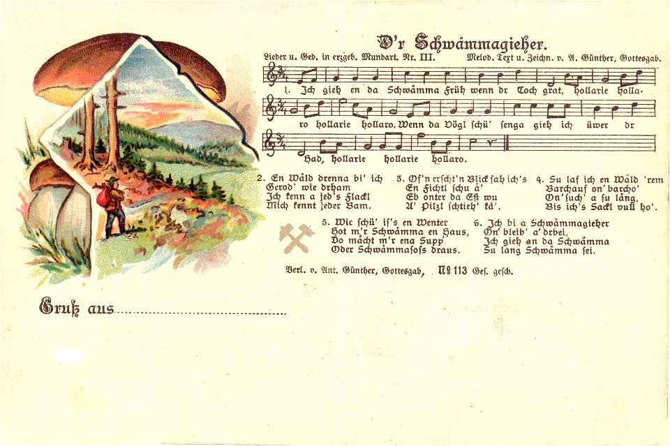III - D'r Schwammagieher (1903)