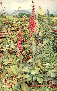 Idylls of the King (1913) 18 - Before the coming of the sinful Queen