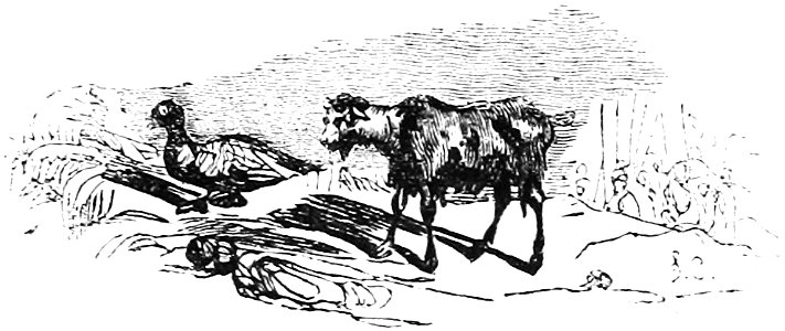 Ill dict infernal p0182-166 chevre