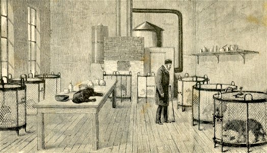Il laboratorio di Luigi Pasteur a Parigi. Free illustration for personal and commercial use.