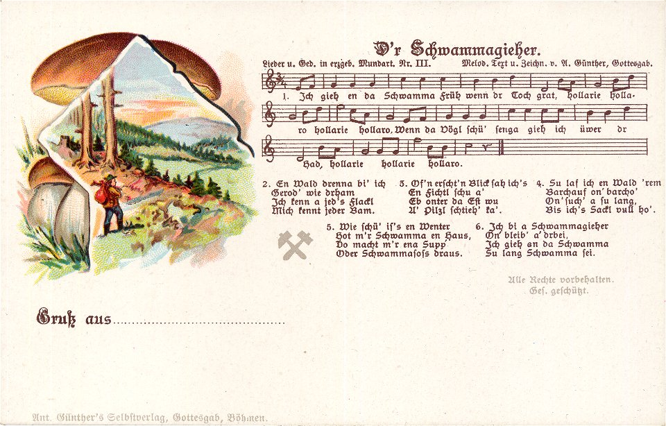 III - D'r Schwammagieher (1905)