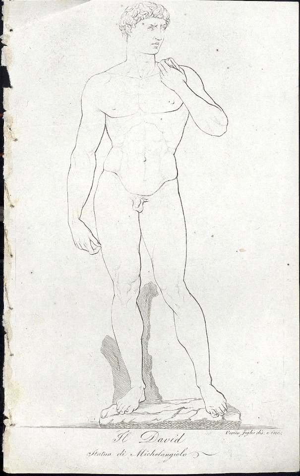 Il David. Statua di Michelangiolo, objectnr A 59378