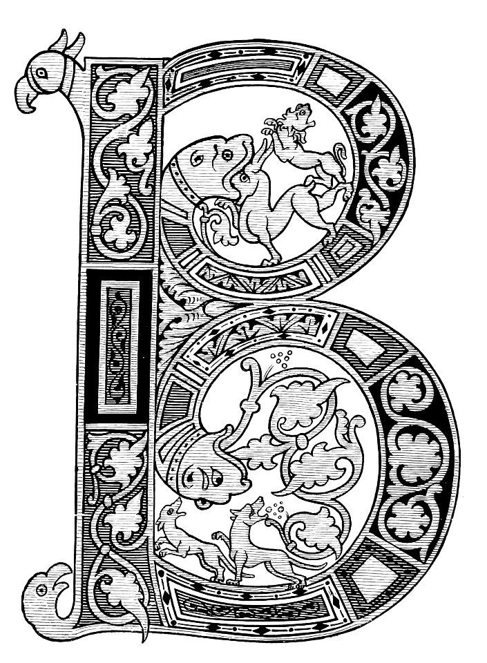 Illuminated Manuscripts (Middleton) figure11