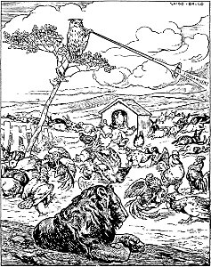 Il Misogallo - Illustration (1903)