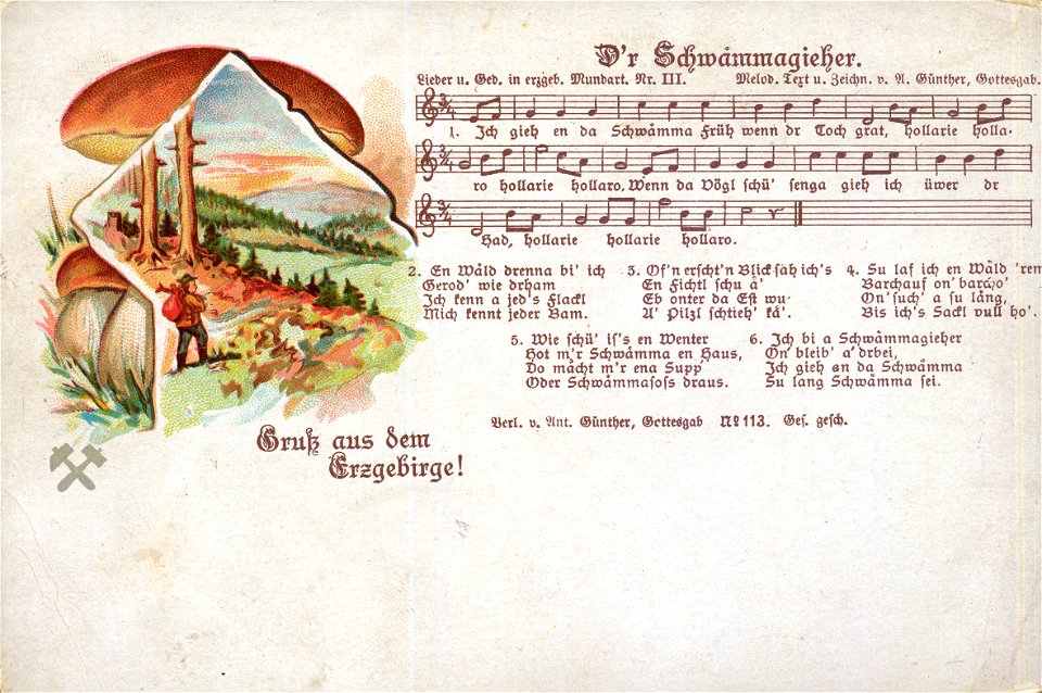 III - D'r Schwammagieher 1902