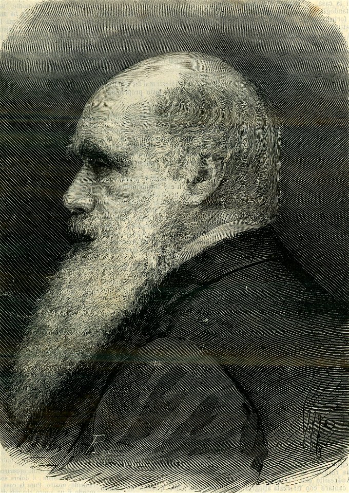 Il naturalista Carlo Darwin
