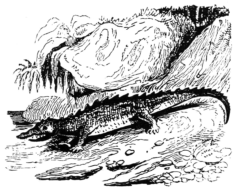 Ill dict infernal p0207-191 crocodiles