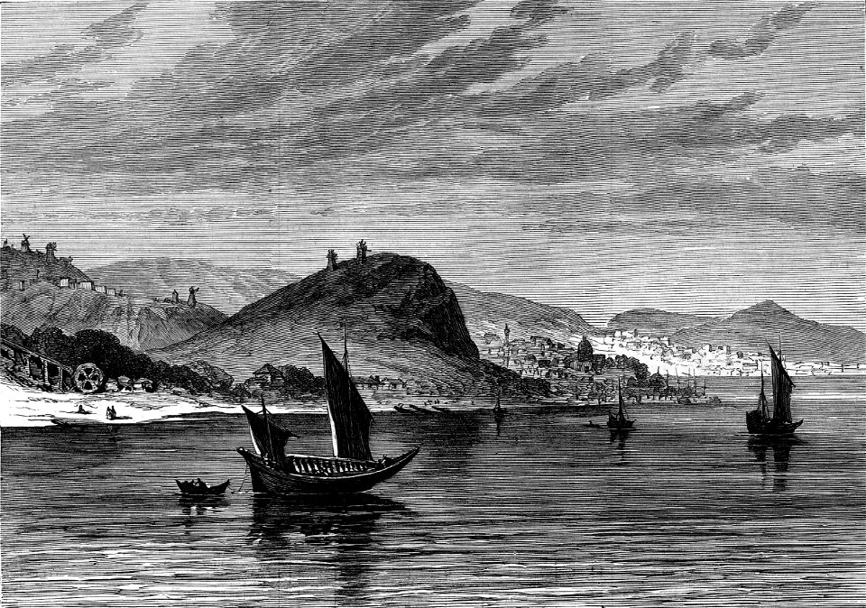 Illustrated London News - Tuldscha, on the Danube