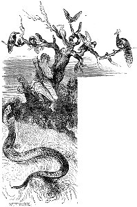 Ill dict infernal p0579 psylle