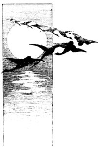 Illustration - Printemps Parfumé - page 85