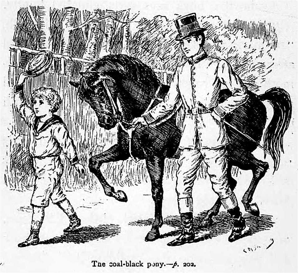 Illustrations by K. M. Skeaping for the Holiday Prize by E. D. Adams-pg-202-The coal-black pony