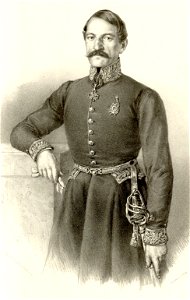 Ilija Garašanin (cropped)