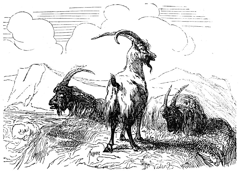 Ill dict infernal p0129-112 bouc