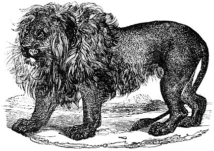 Ill dict infernal p0426 lion