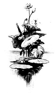 Illustration - Printemps Parfumé - page 2