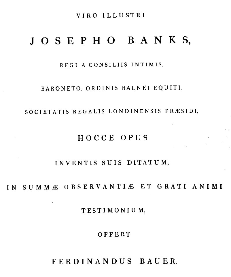 Illustrationes Florae Novae Hollandiae page 2