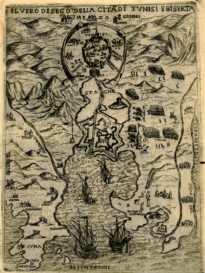 Il vero disegno della cita di Tunisi e Biserta - Camocio Giovanni Francesco - 1574