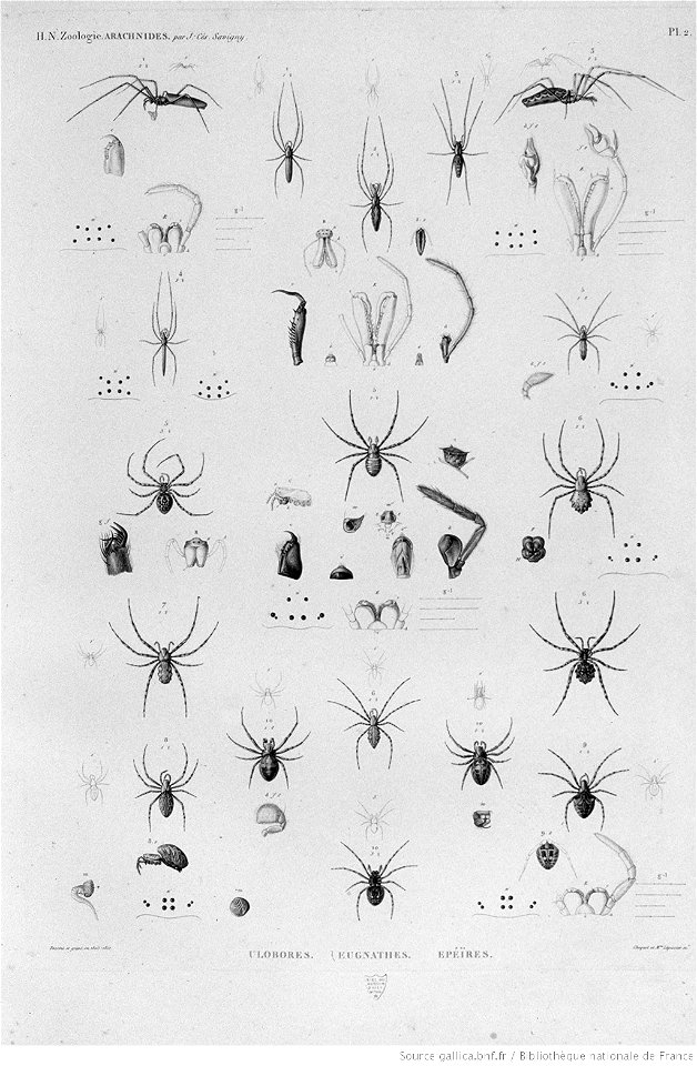 Illustrations de Description de l'Egypte Pl39