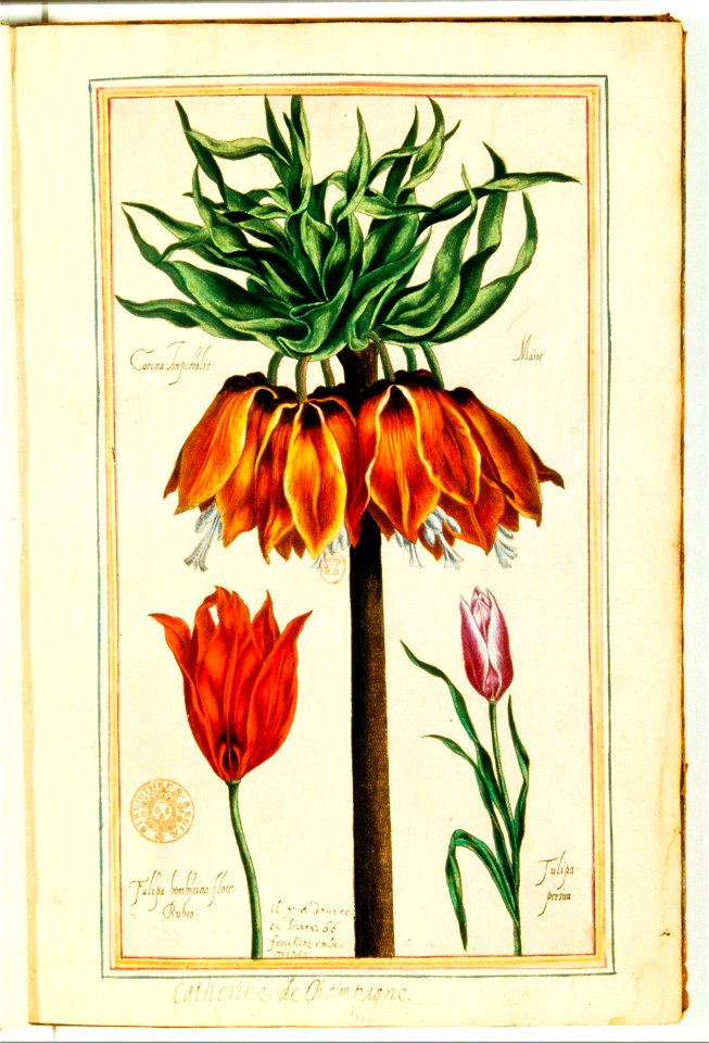 Illustrations de Le Jardin du très chrestien Henry IV.f01