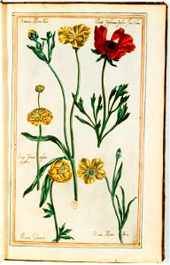 Illustrations de Le Jardin du très chrestien Henry IV.f17