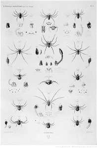 Illustrations de Description de l'Egypte Pl43