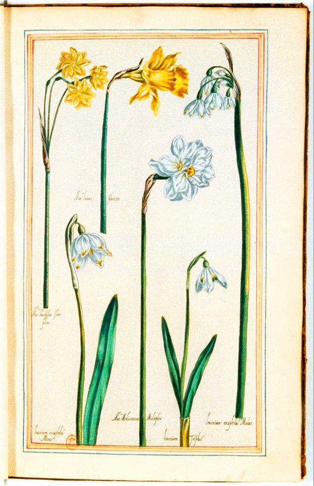 Illustrations de Le Jardin du très chrestien Henry IV.f13