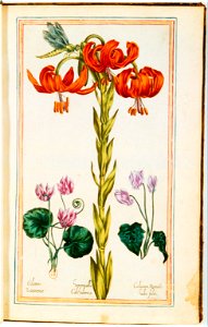 Illustrations de Le Jardin du très chrestien Henry IV.f18