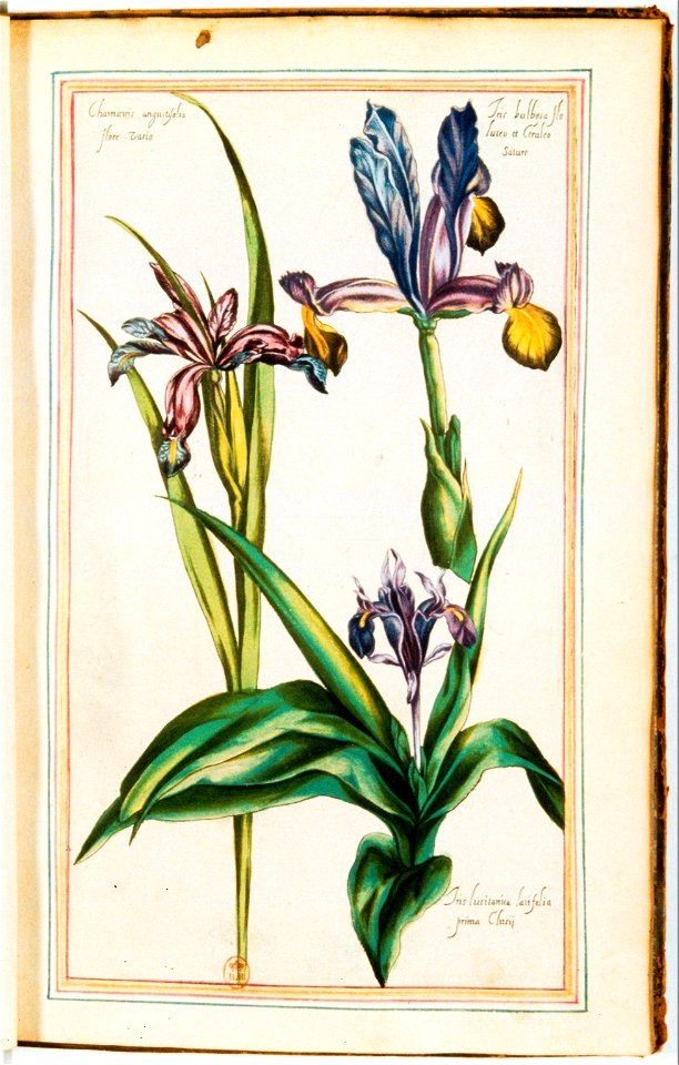 Illustrations de Le Jardin du très chrestien Henry IV.f26