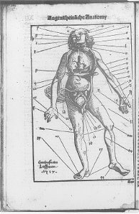 Illustrations in Feldtbuch der Wundartzney(BNF) 001
