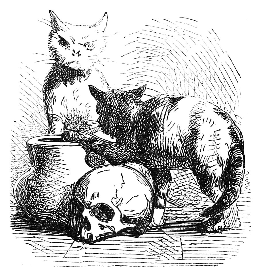Ill dict infernal p0297-281 forme du diable 5