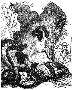Ill dict infernal p0621 serpent