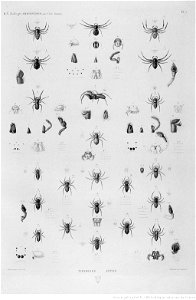 Illustrations de Description de l'Egypte Pl44