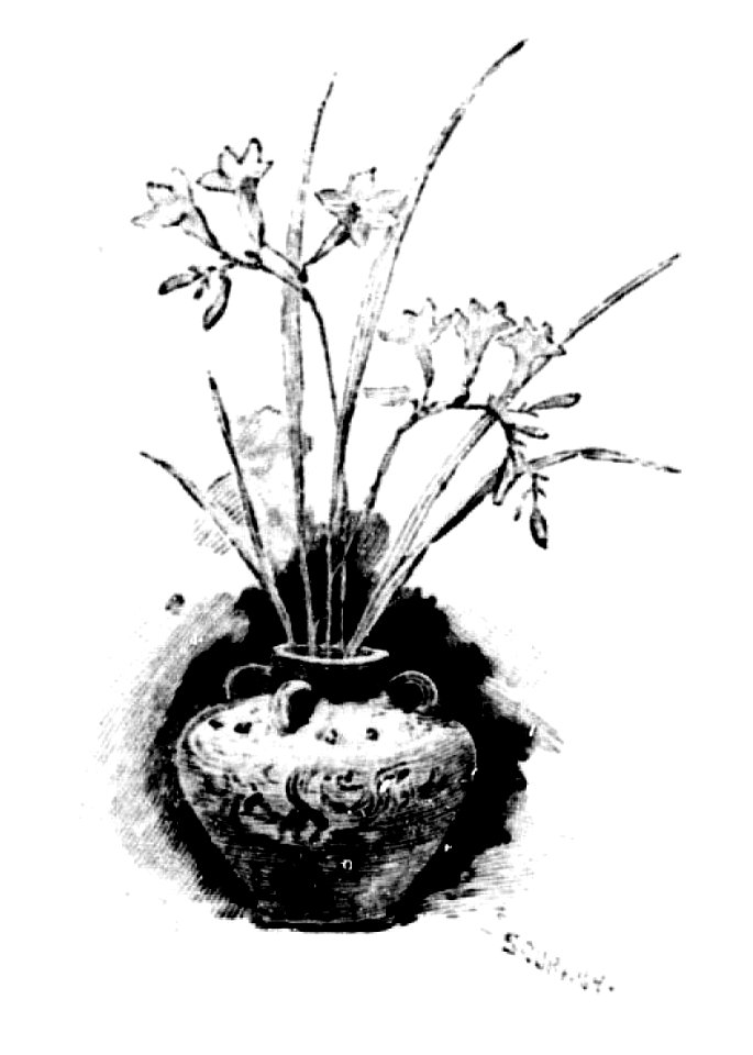 Illustration - Printemps Parfumé - page 24
