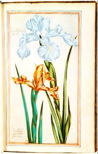 Illustrations de Le Jardin du très chrestien Henry IV.f27