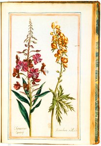 Illustrations de Le Jardin du très chrestien Henry IV.f46