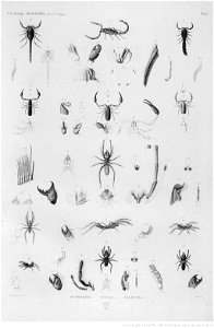 Illustrations de Description de l'Egypte Pl45