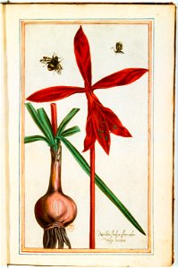 Illustrations de Le Jardin du très chrestien Henry IV.f07