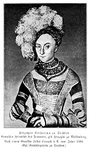 Illustrierte Geschichte d. sächs. Lande Bd. II Abt. 1 - 009 - Herzogin Katharina zu Sachsen
