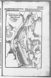 Illustrations in Feldtbuch der Wundartzney(BNF) 007