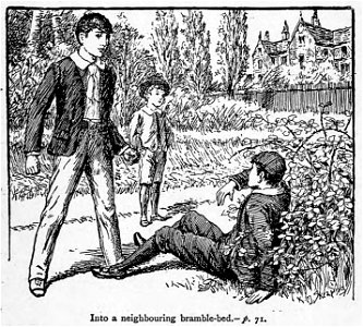 Illustrations by K. M. Skeaping for the Holiday Prize by E. D. Adams-pg-071-Into a neighbouring bramble-bed. Free illustration for personal and commercial use.