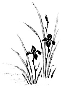 Illustration - Printemps Parfumé - page 131