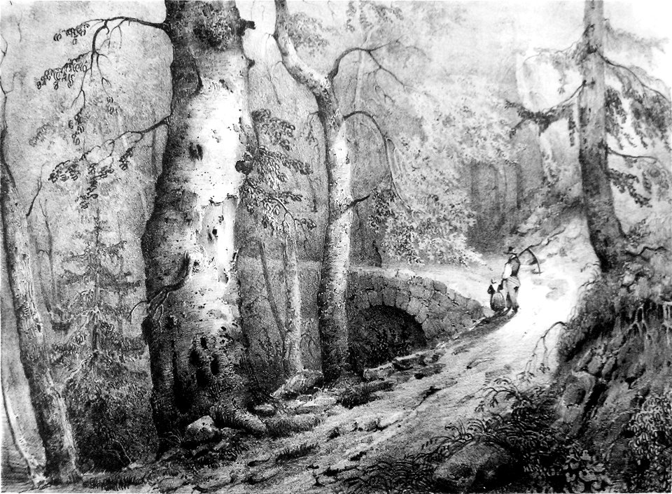 Im23 Album dauphiné T1 - route de la Grande Chartreuse près Grenoble, by VC versio II cropped